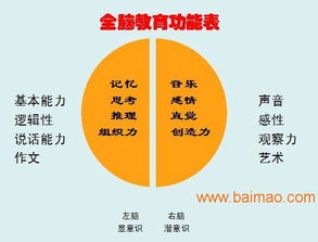 山東臨沂與臨沭全腦開發服務 可靠提供商、廠家與價格咨詢指南